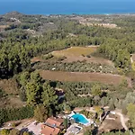 فيلة Constantin By Halkidiki أغيا باراسكيفي